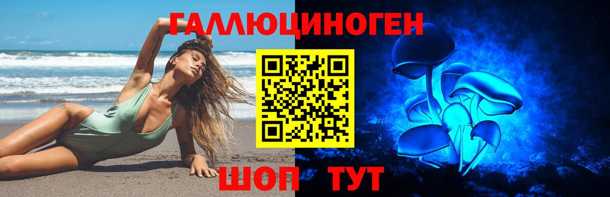 Псилоцибиновые грибы Psilocybine cubensis Славянск-на-Кубани